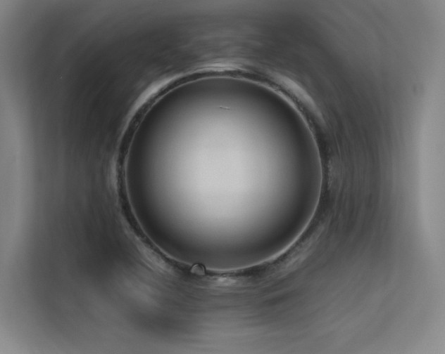 X0000113241412200909101359