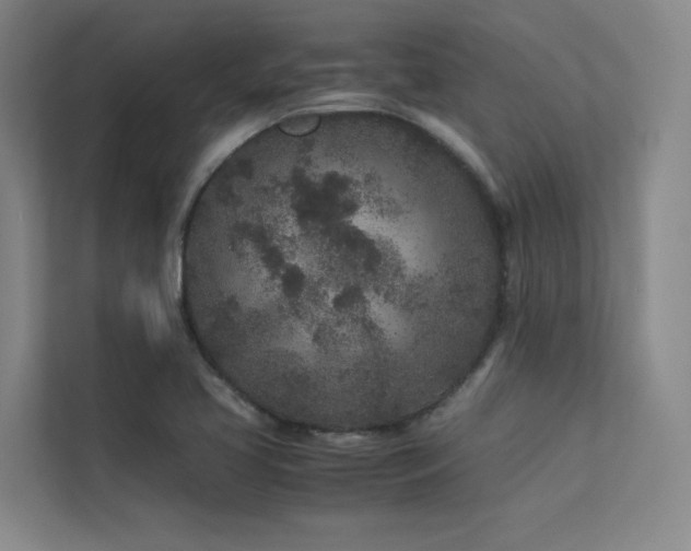 X0000113241413200909101359