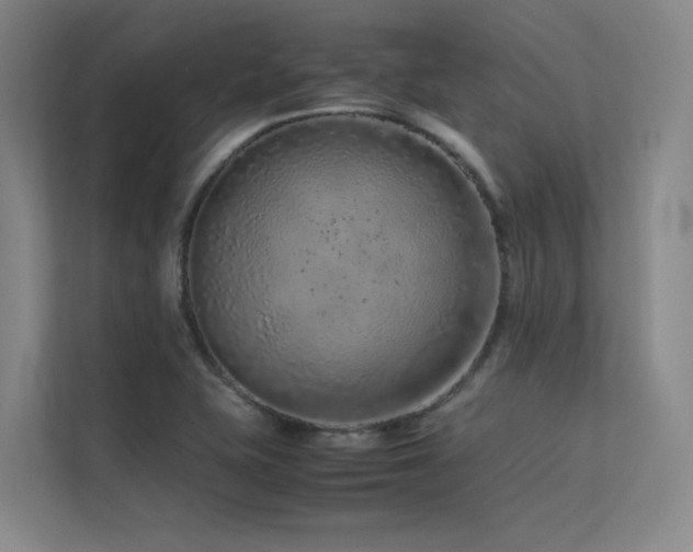 X0000113241415200909101359