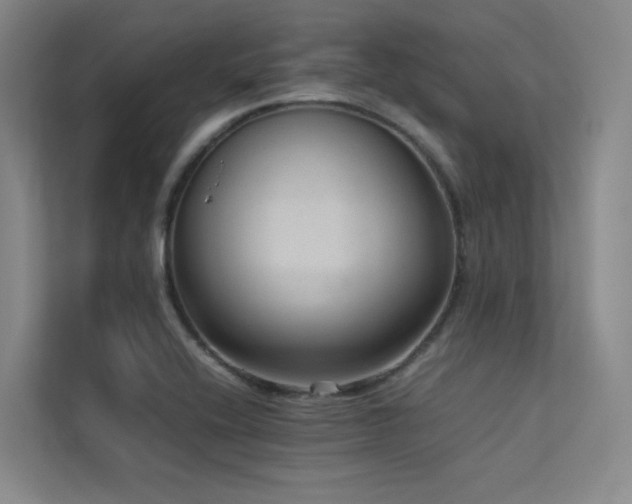 X0000113241416200909101359