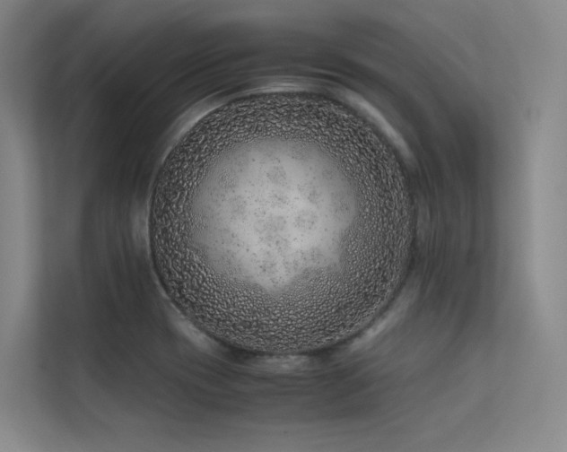 X0000113241417200909101359