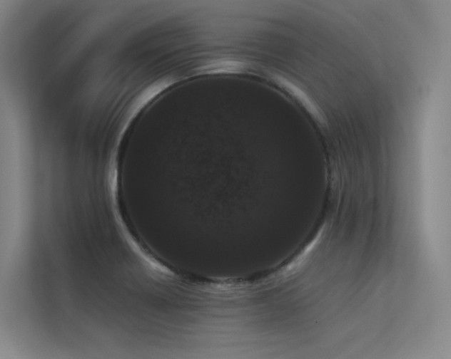 X0000113241418200909101359