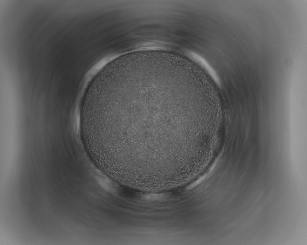 X0000113241419200909101359