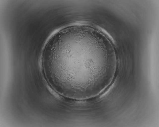 X0000113241421200909101359