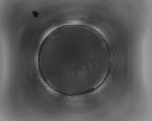 X0000113241422200909101359