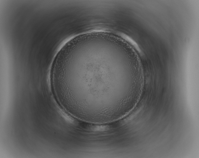 X0000113241423200909101359