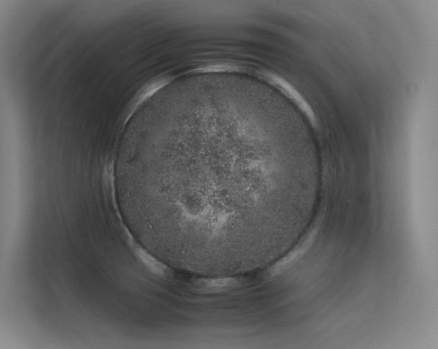 X0000113241425200909101359