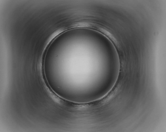 X0000113241426200909101359