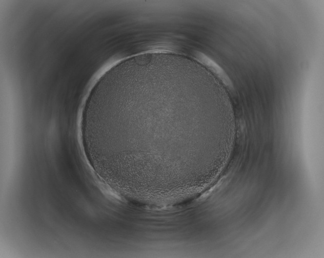 X0000113241427200909101359