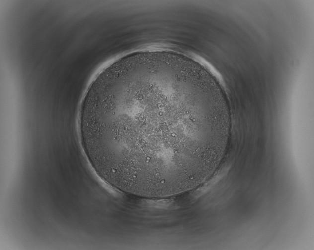 X0000113241429200909101359