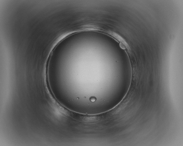 X0000113241431200909101359