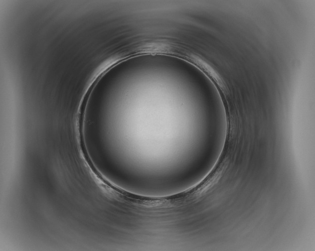 X0000113241434200909101359