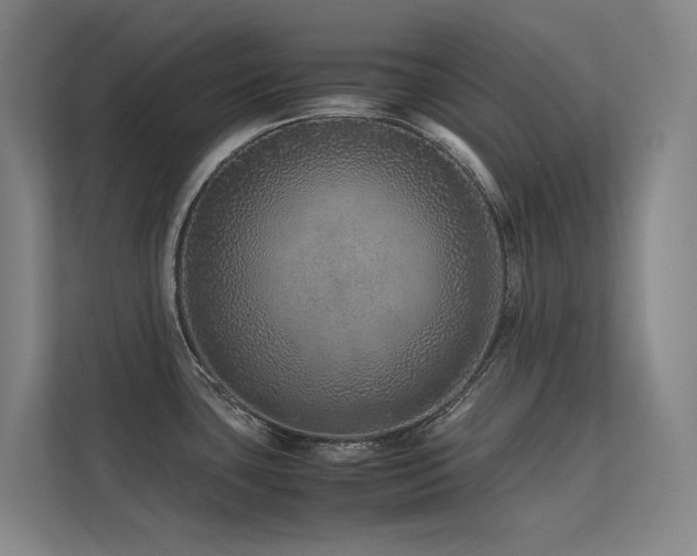 X0000113241435200909101359