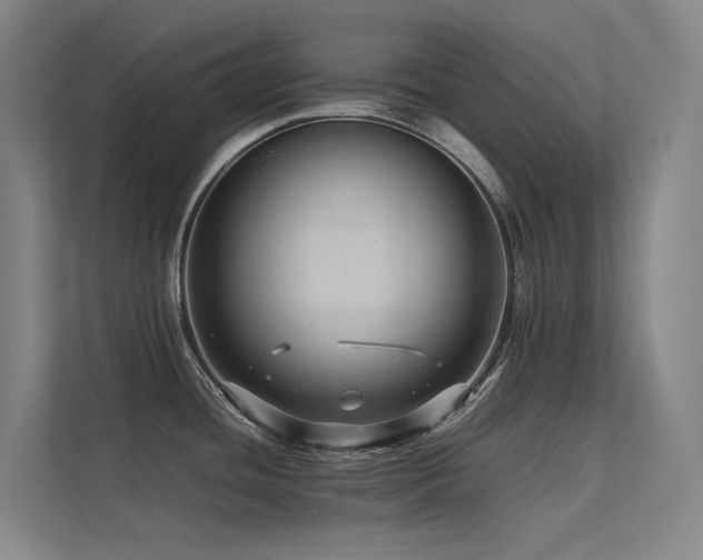 X0000113241436200909101359