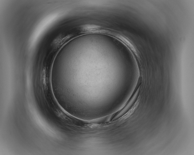 X0000113241438200909101359