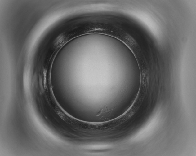 X0000113241439200909101359