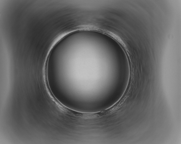 X0000113241440200909101359