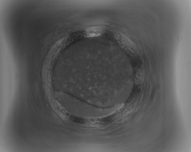 X0000113241441200909101358