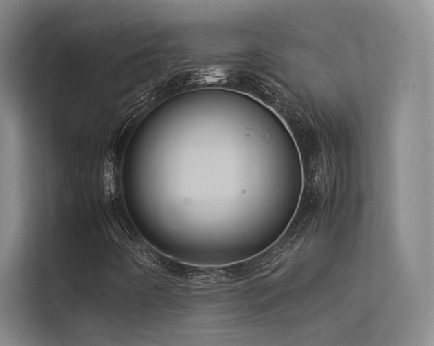 X0000113241442200909101358