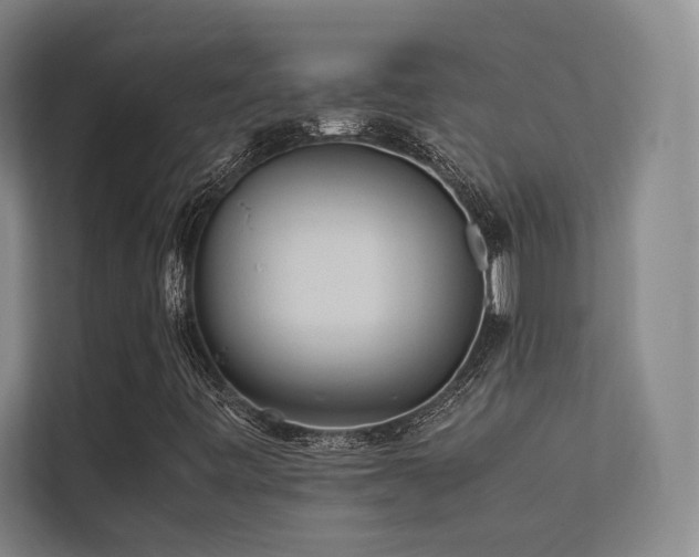 X0000113241443200909101358