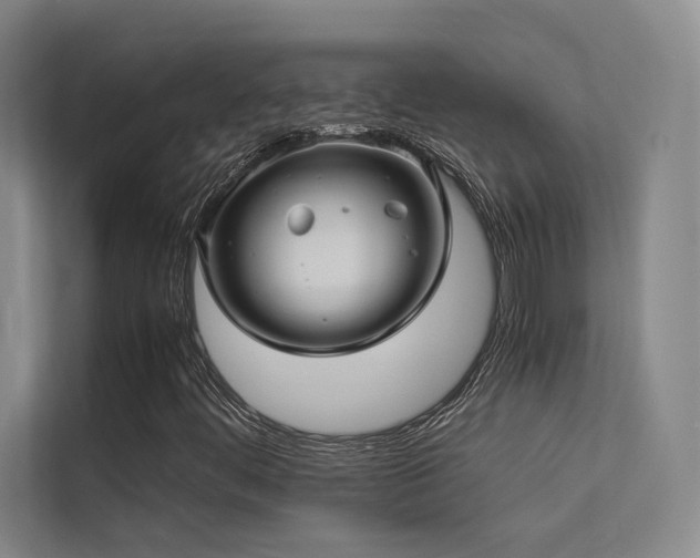 X0000113241444200909101358