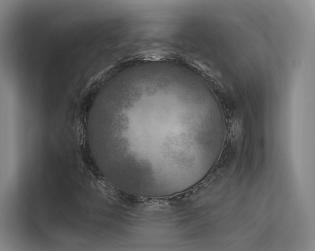 X0000113241446200909101358