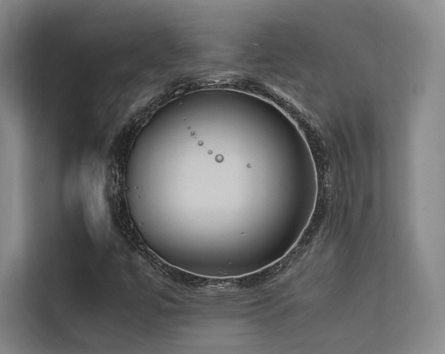 X0000113241447200909101358