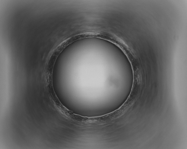 X0000113241448200909101358