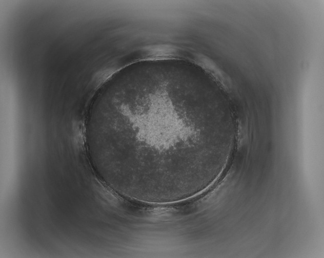 X0000113241449200909101358