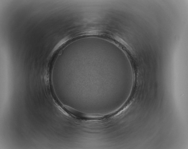 X0000113241450200909101358