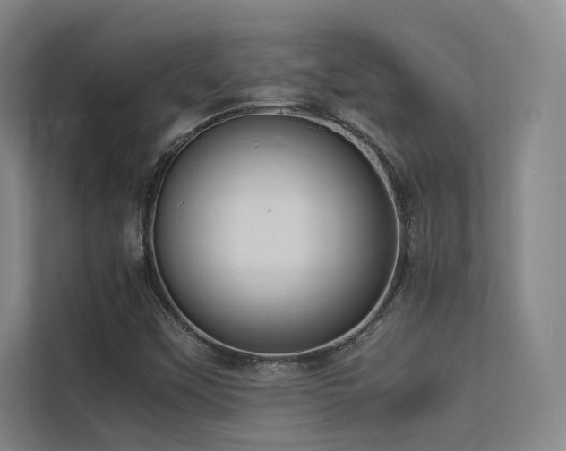 X0000113241451200909101358