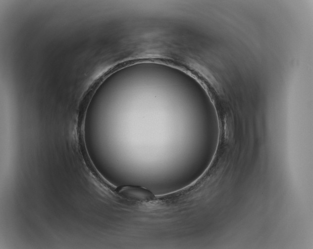 X0000113241452200909101358