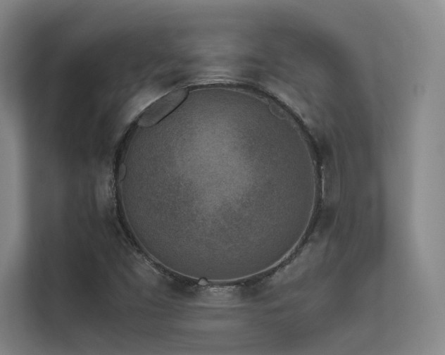 X0000113241453200909101358