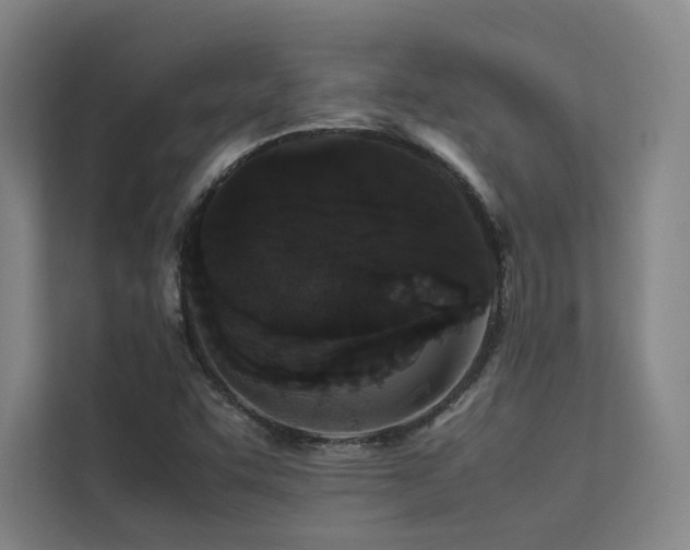 X0000113241455200909101358