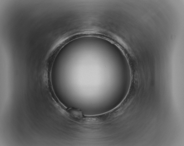 X0000113241456200909101358