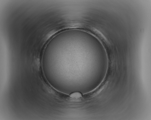 X0000113241457200909101358