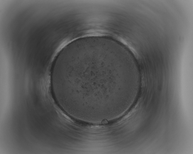 X0000113241459200909101358