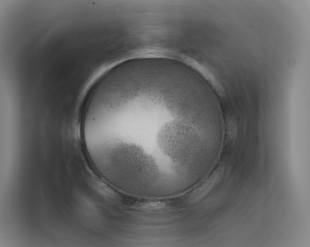 X0000113241462200909101358