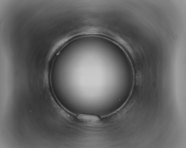 X0000113241464200909101358