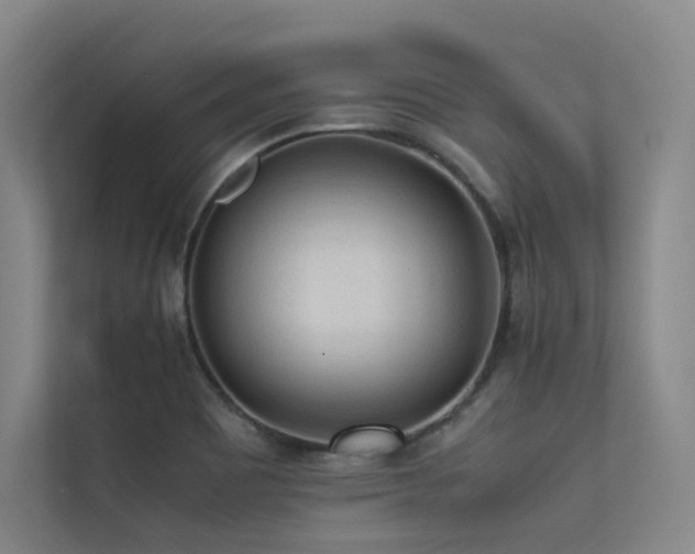 X0000113241465200909101358