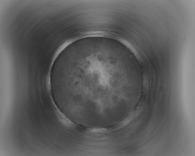 X0000113241466200909101358