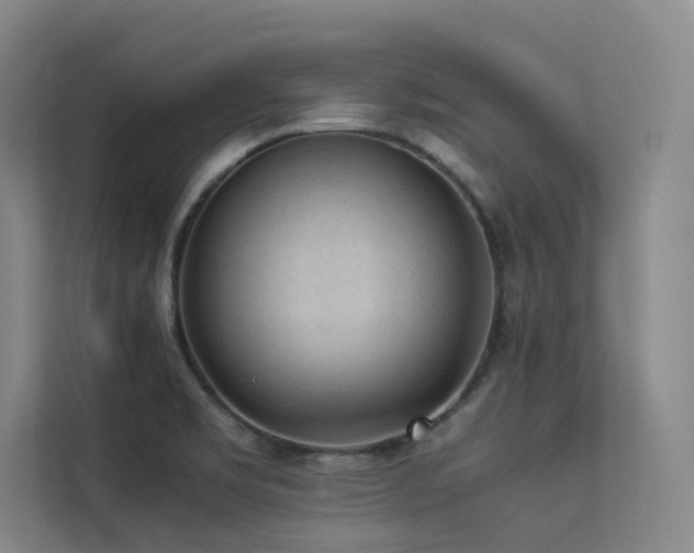 X0000113241469200909101358