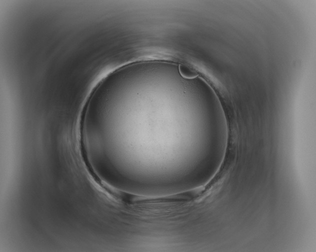 X0000113241471200909101358