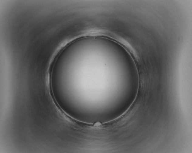 X0000113241472200909101358