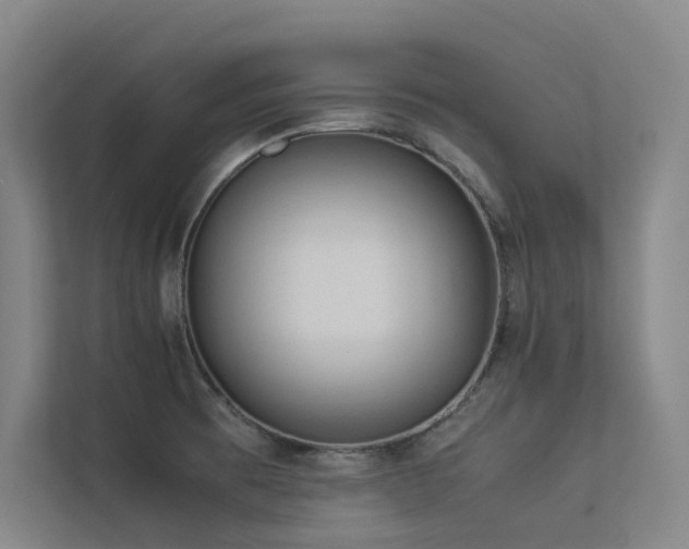 X0000113241473200909101358