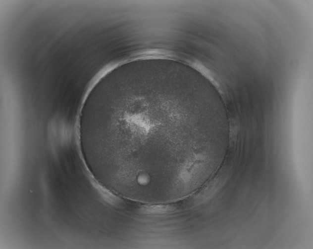 X0000113241474200909101358