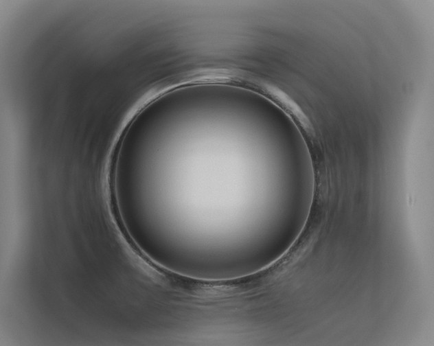 X0000113241475200909101358