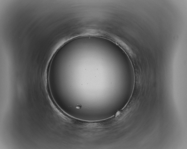 X0000113241479200909101358