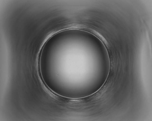 X0000113241483200909101358