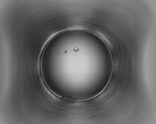 X0000113241484200909101358